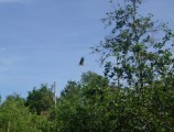 P1040909