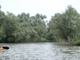 P6030022