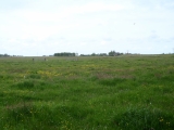 P5110101