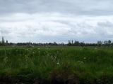 P5110119