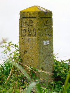 DSCN0272