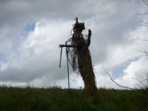 P1010558